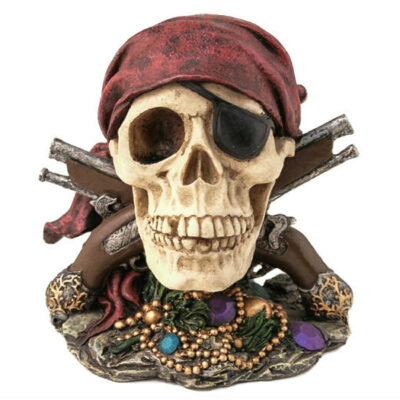 teschio pirata