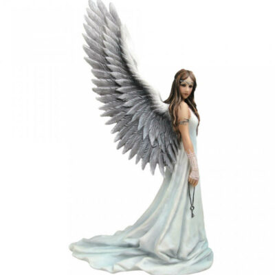angelo spirito guida anne stokes
