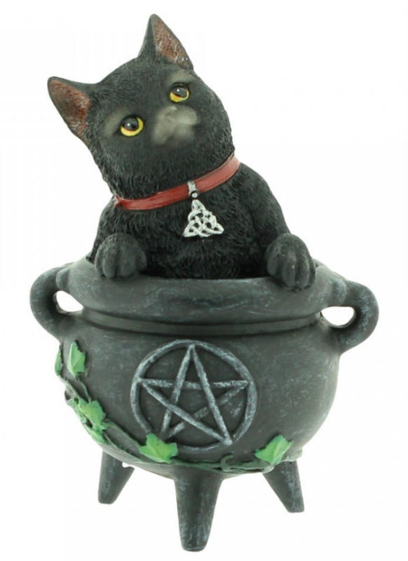 gatto nero nel calderone