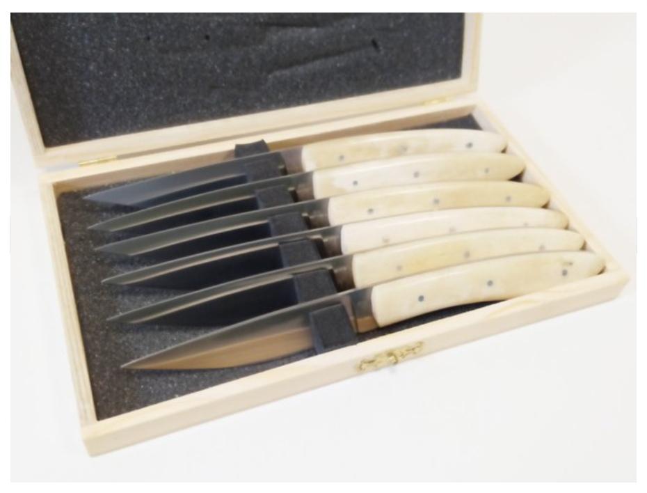 coltelli da bistecca 6 pezzi