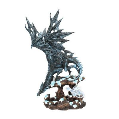 la saggezza dei draghi