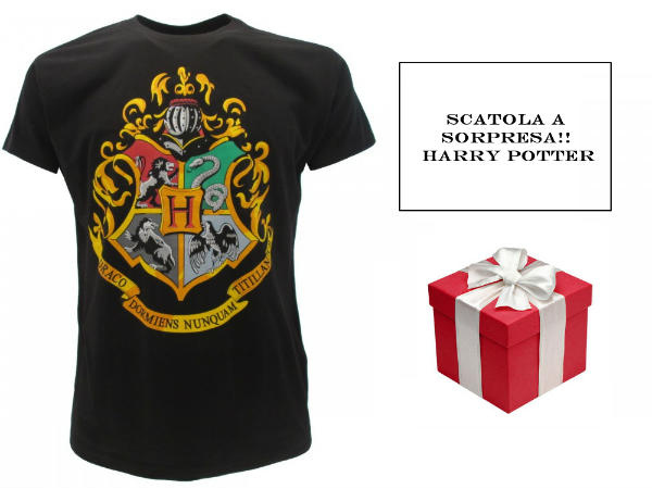 pacchetto a sorpresa harry potter 5 pezzi