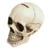 teschio classico 6 pezzi