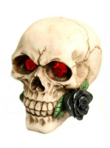 teschio con rosa tra i denti