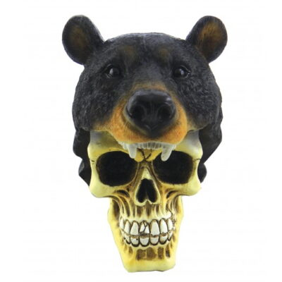 teschio con orso