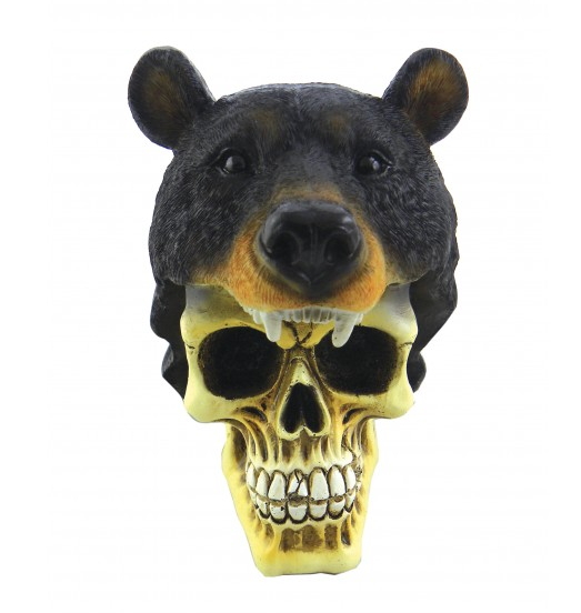 teschio con orso