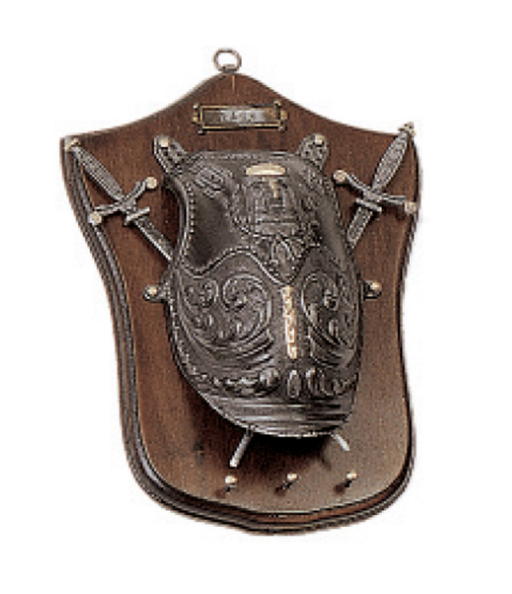 trofeo pannello portachiavi