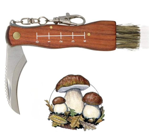 coltello per funghi