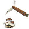 coltello per funghi con bussola