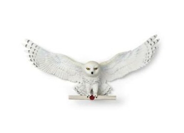 edvige con pergamena