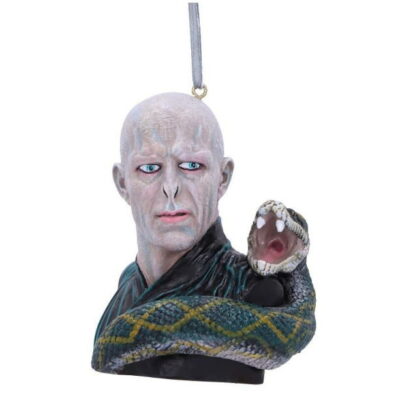 harry potter lord voldemort da appendere