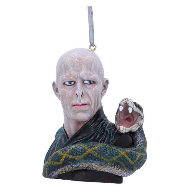 harry potter lord voldemort da appendere