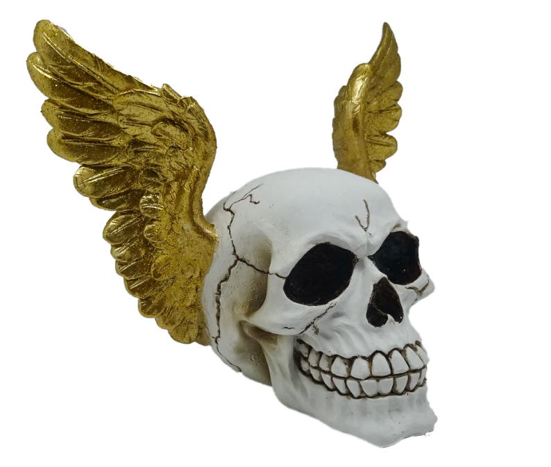 teschio con ali d'oro