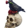 teschio con corvo nero