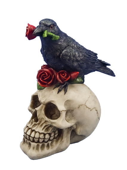 teschio con corvo nero