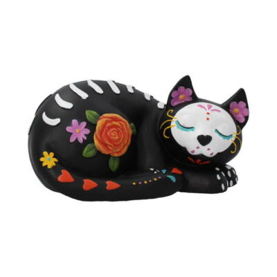 gatto nero sleepy sugar