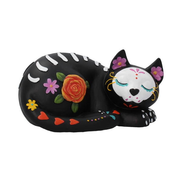 gatto nero sleepy sugar