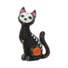 gatto nero sugar kitty