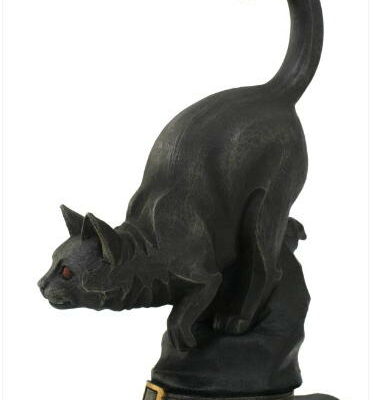 gatto nero su cappello