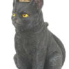 gatto nero con corona