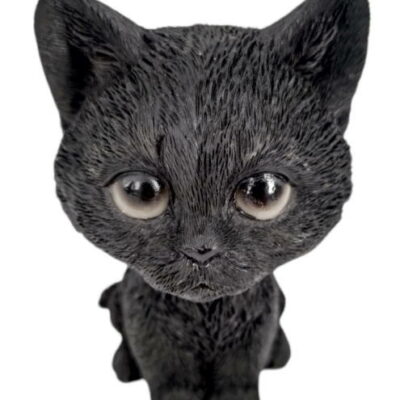 gattino nero che muove la testa