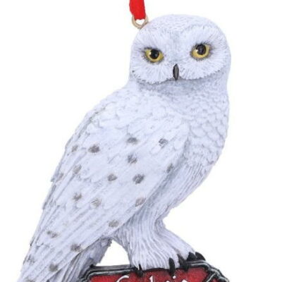 harry potter edwing ornamento