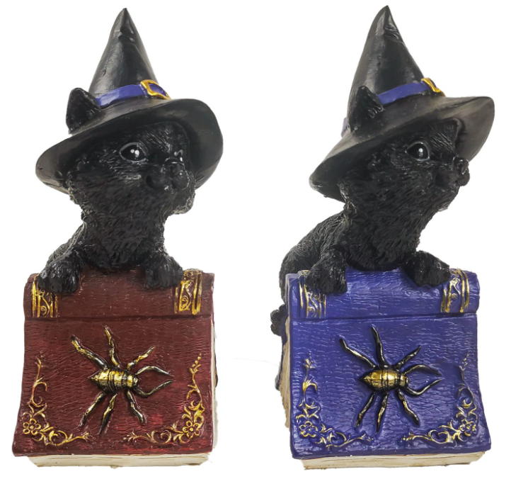 gattino nero con libro due pezzi