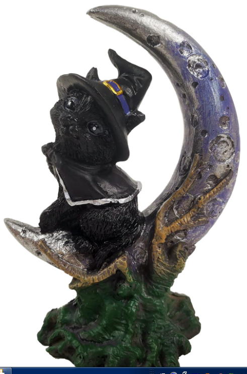 gattino nero con luna