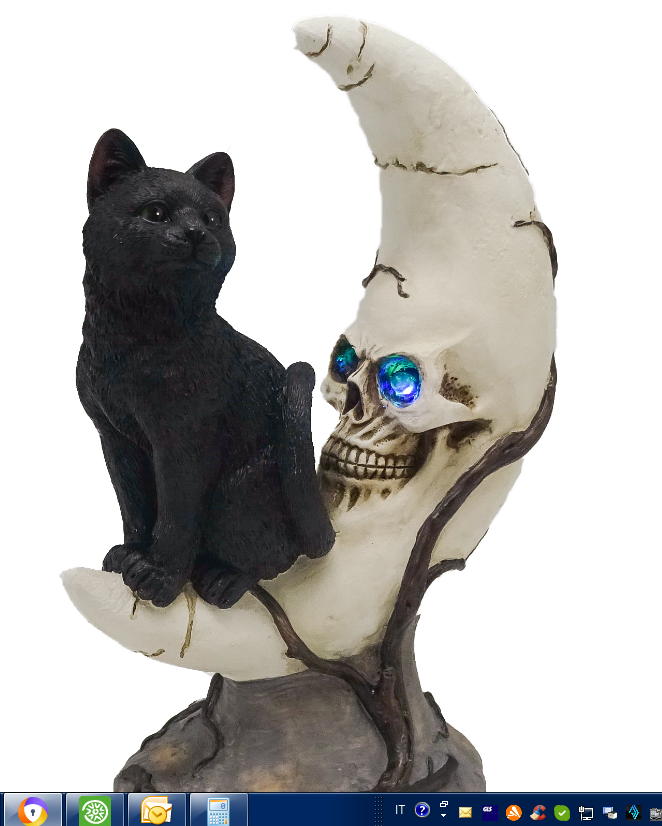 gatto nero con luna e led