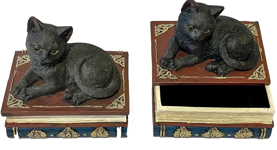 gattino nero steso sul libro