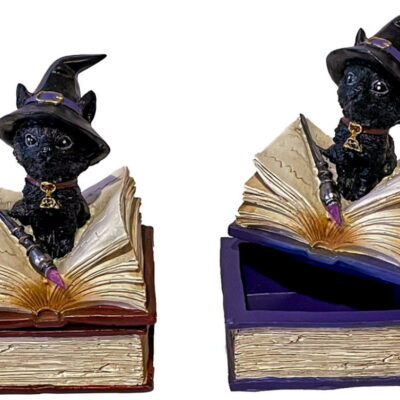 gattino nero sul libro