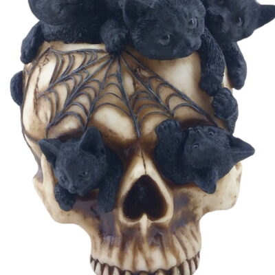 teschio steam punk con gattini