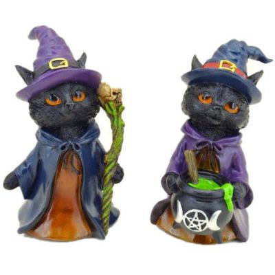 whiskered wizard collezione di due gatti