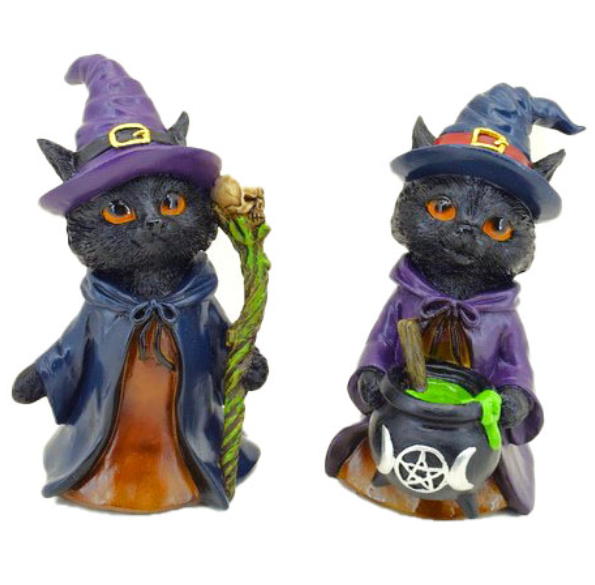 whiskered wizard collezione di due gatti