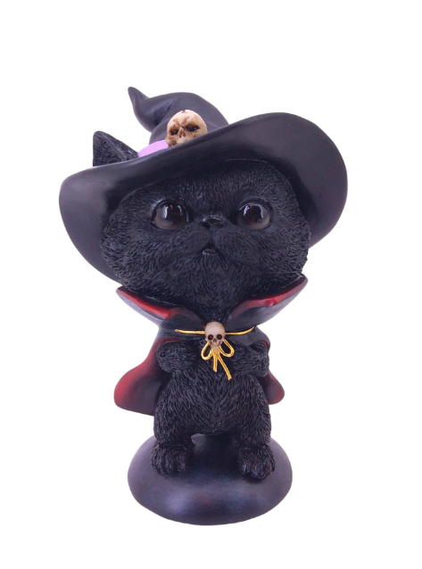 gatto nero cappello + mantello