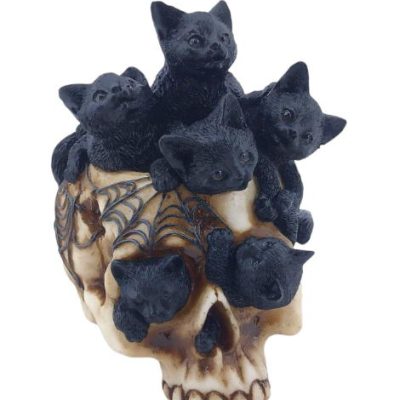 teschio con gattini neri in resina