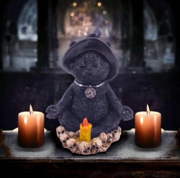 gatto in meditazione yoga