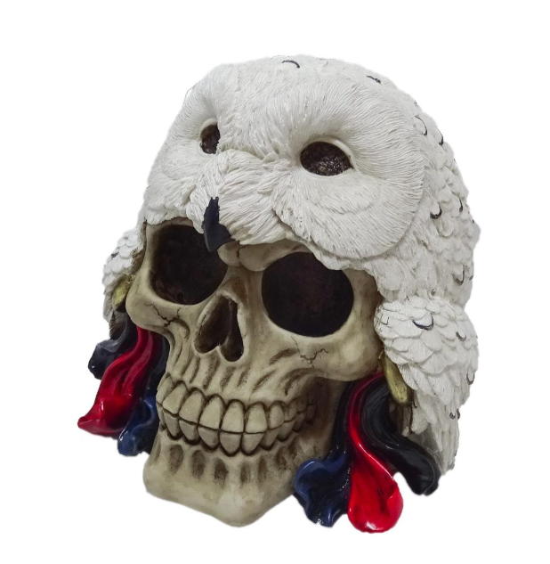 teschio con gufo copricapo