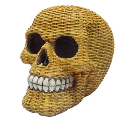 teschio denti splendenti