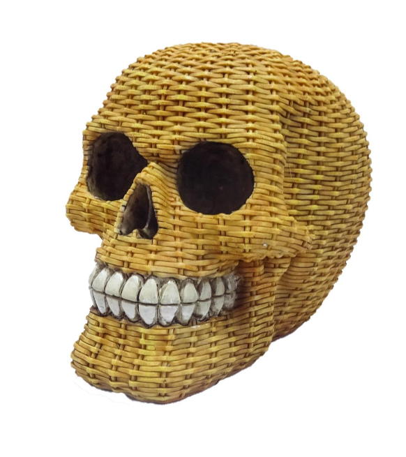 teschio denti splendenti