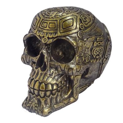 teschio brunito con incisioni