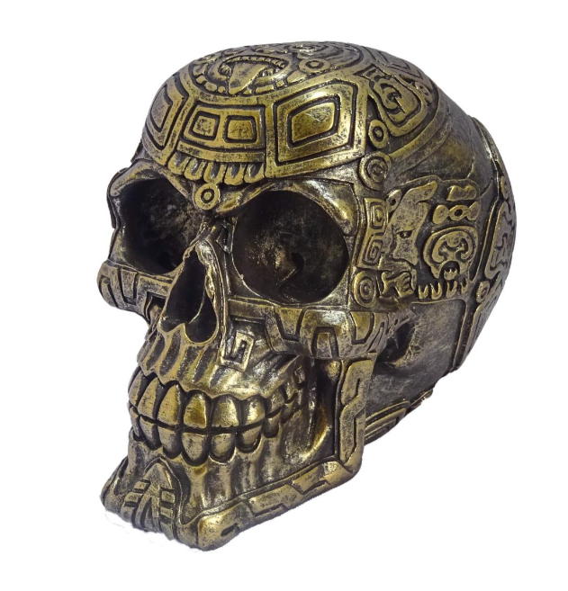 teschio brunito con incisioni