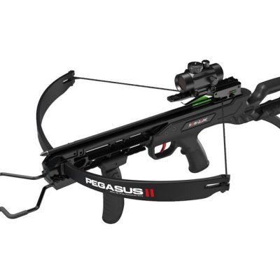 balestra ricurva pegasus ii 175 libbre bk hori-zone